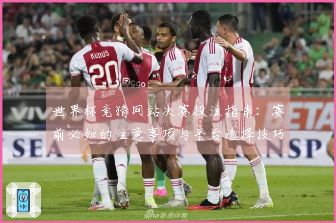 世界杯竞猜网站决赛投注指南：赛前必知的注意事项与平台选择技巧