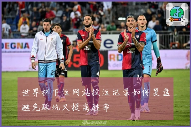 世界杯下注网站投注记录如何复盘避免踩坑又提高胜率