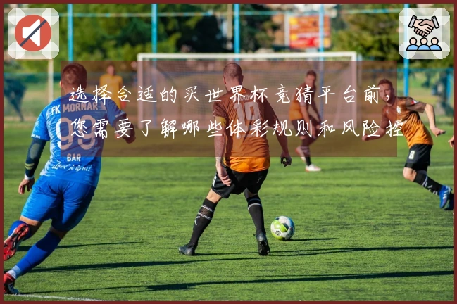 选择合适的买世界杯竞猜平台前，您需要了解哪些体彩规则和风险控制策略