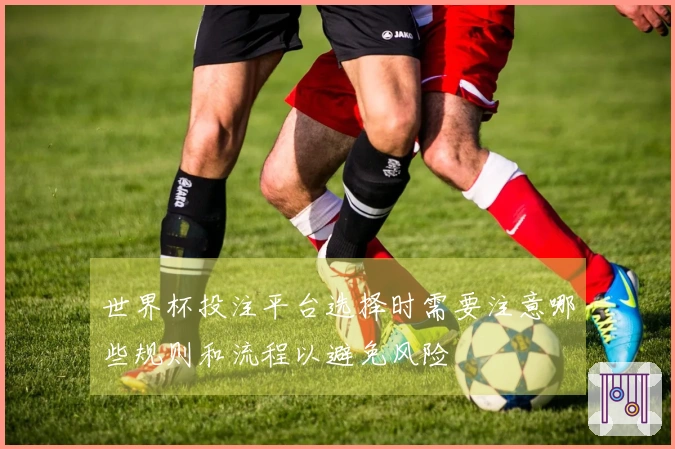 世界杯投注平台选择时需要注意哪些规则和流程以避免风险
