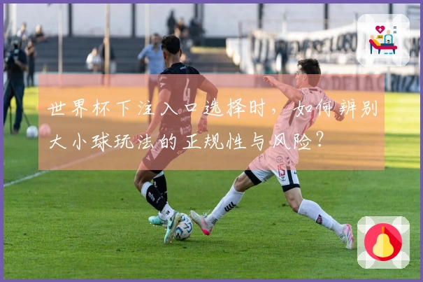 世界杯下注入口选择时，如何辨别大小球玩法的正规性与风险？