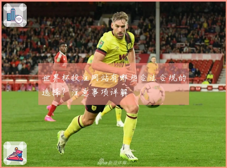 世界杯投注网站有哪些合法合规的选择？注意事项详解