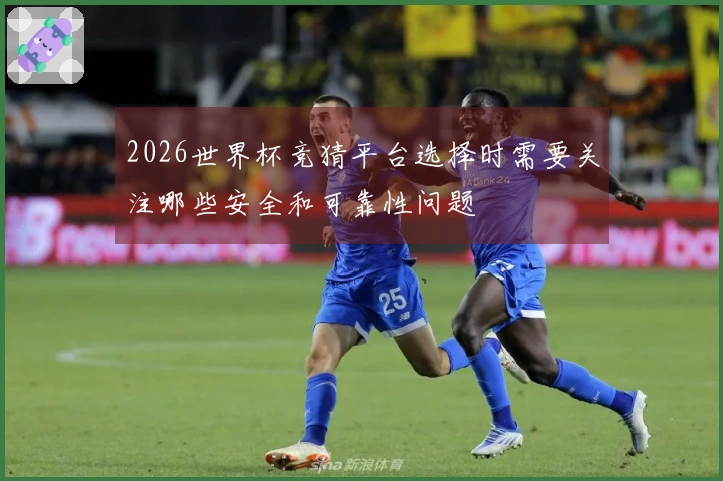 2026世界杯竞猜平台选择时需要关注哪些安全和可靠性问题