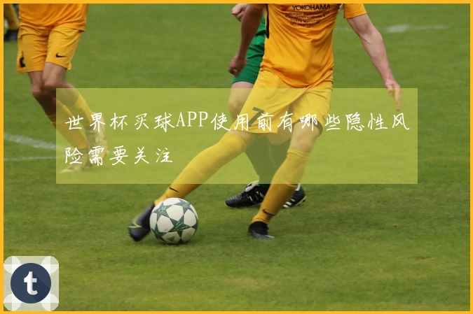 世界杯买球APP使用前有哪些隐性风险需要关注