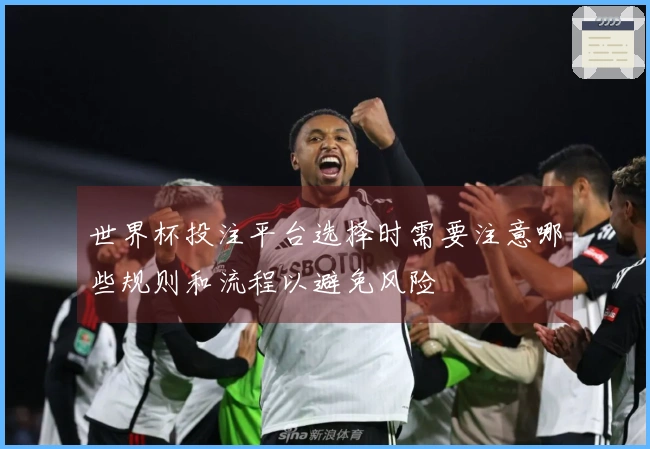 世界杯投注平台选择时需要注意哪些规则和流程以避免风险