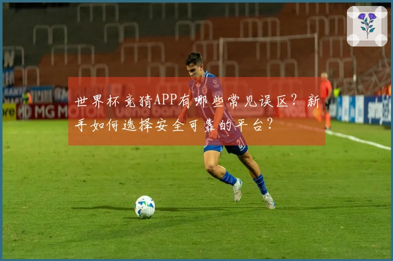 世界杯竞猜APP有哪些常见误区？新手如何选择安全可靠的平台？