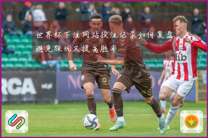 世界杯下注网站投注记录如何复盘避免踩坑又提高胜率