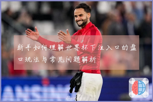 新手如何理解世界杯下注入口的盘口玩法与常见问题解析