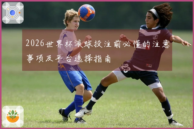 2026世界杯滚球投注前必懂的注意事项及平台选择指南