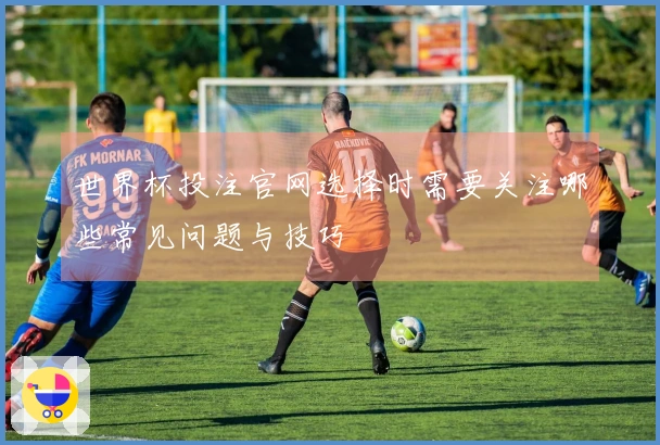 世界杯投注官网选择时需要关注哪些常见问题与技巧
