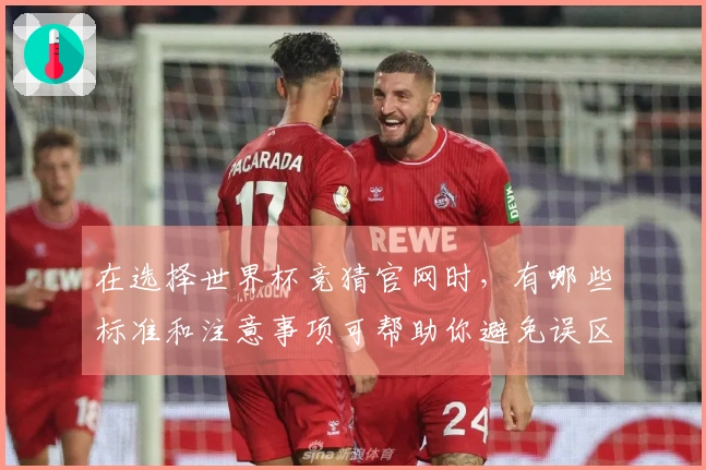 在选择世界杯竞猜官网时，有哪些标准和注意事项可帮助你避免误区？
