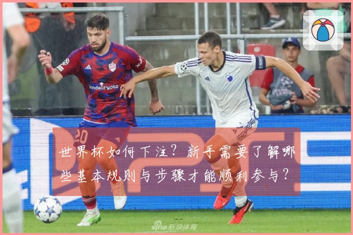 世界杯如何下注？新手需要了解哪些基本规则与步骤才能顺利参与？