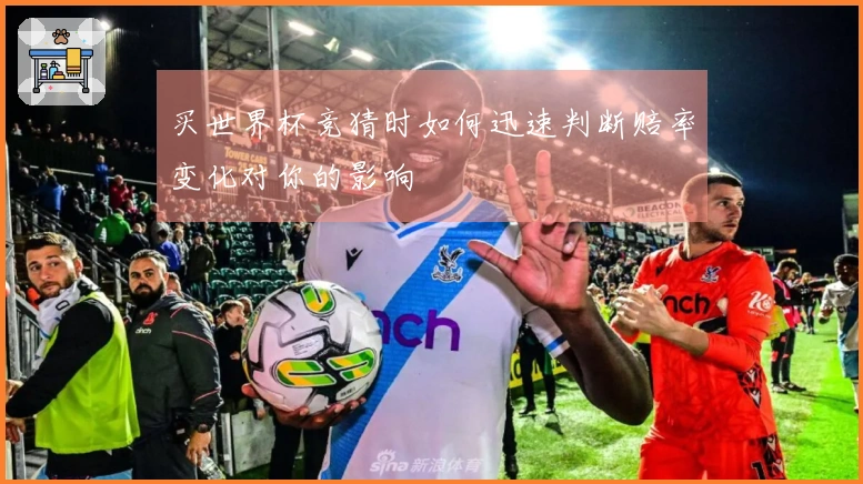 买世界杯竞猜时如何迅速判断赔率变化对你的影响