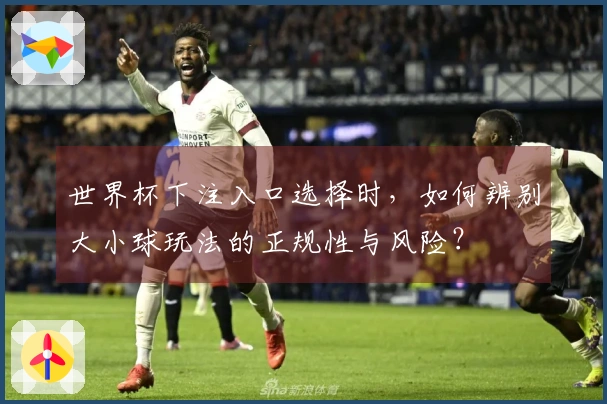 世界杯下注入口选择时，如何辨别大小球玩法的正规性与风险？